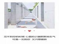义乌市悻羡贸易商行