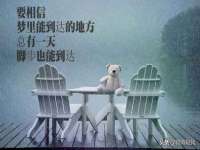 义乌市悻羡贸易商行