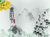 义乌市悻羡贸易商行