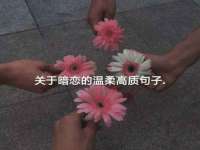 义乌市悻羡贸易商行