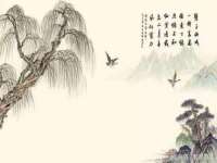 义乌市悻羡贸易商行