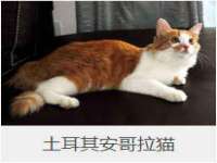 义乌市悻羡贸易商行