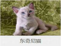义乌市悻羡贸易商行