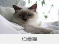 义乌市悻羡贸易商行