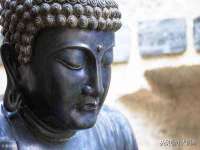 义乌市悻羡贸易商行