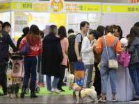 义乌市悻羡贸易商行