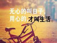 义乌市悻羡贸易商行