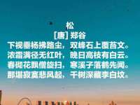 义乌市悻羡贸易商行