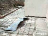 义乌市悻羡贸易商行