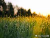 义乌市悻羡贸易商行