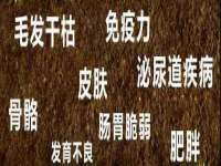 义乌市悻羡贸易商行