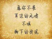 义乌市悻羡贸易商行