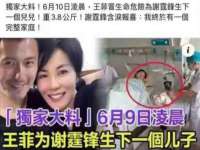 义乌市悻羡贸易商行