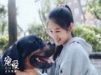 义乌市悻羡贸易商行