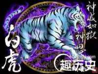 义乌市悻羡贸易商行