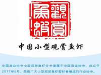 义乌市悻羡贸易商行