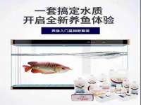 义乌市悻羡贸易商行