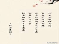 义乌市悻羡贸易商行