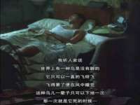 义乌市悻羡贸易商行