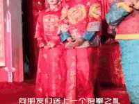 义乌市悻羡贸易商行