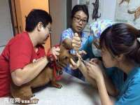 义乌市悻羡贸易商行