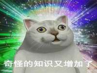 义乌市悻羡贸易商行